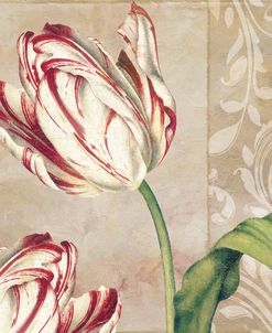 Peppermint Tulips I