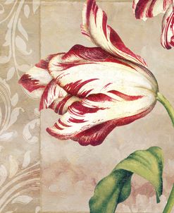 Peppermint Tulips II