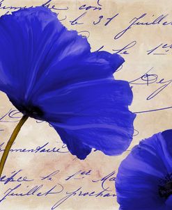 Coquelicots Bleues II