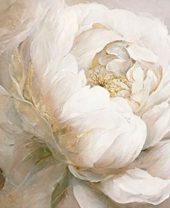 Peony Poses II