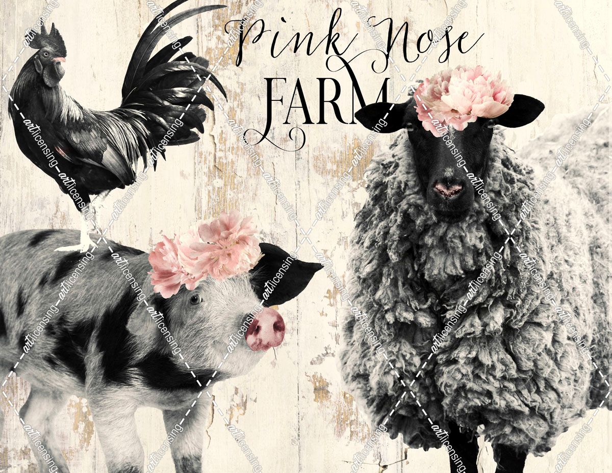 Pink Nose Farm II