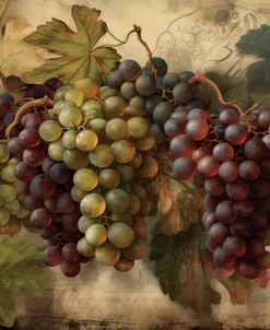 Grapes I