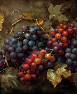 Grapes IV
