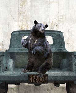 Bear Vacation Redux