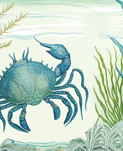 Crab