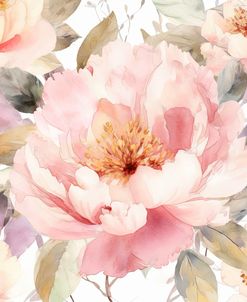 Peony Season