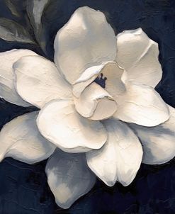 Night Magnolia