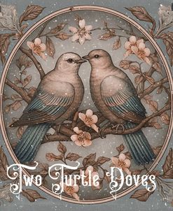 Two Turtle Doves