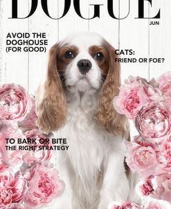 Dogue Magazine