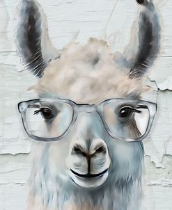 Drama LLama