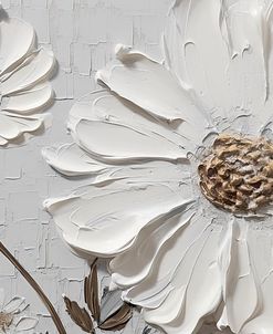 White Dimensions