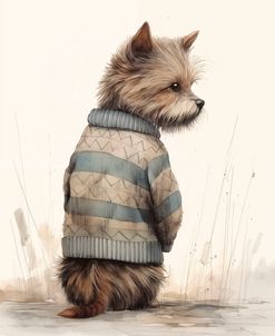 Sweater Terrier