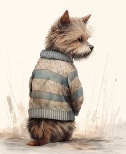 Sweater Terrier