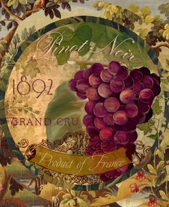 Wines of France II