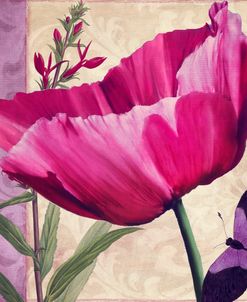 Pink Poppy I