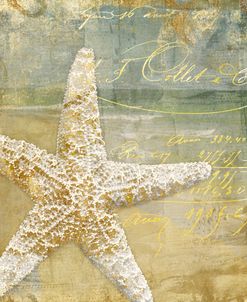 Golden Sea IVGolden Sea Iv, 
Nautical & Coastal, Animals, Sea, Starfish, Ocean, Beach, Gold
Illustration, Paintings, Typography, Text, Beach, Sand, Sea, Texture, Gold, Calligraphy, Stamp, Outdoors, Daytime, Starfish