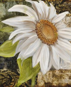 White Sunflower II