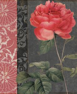 China Rose II