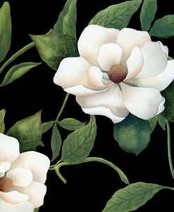 Sweet Magnolias I