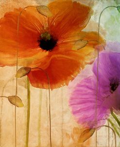 Penchant For Poppies II