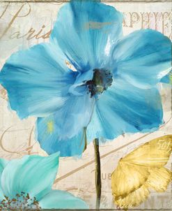 Blue Mountain Poppy