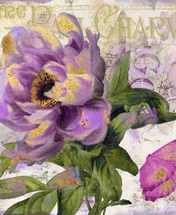 Purple Peony