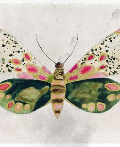 Whimsyfolk Butterfly