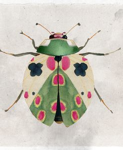 Whimsyfolk Ladybug