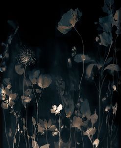 Aurelia’s Night Meadow