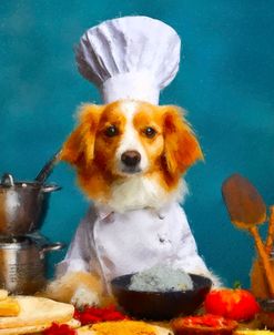 Chef Fido