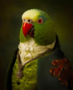 Baron Birdbottom