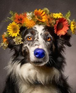 Dog Flower 3