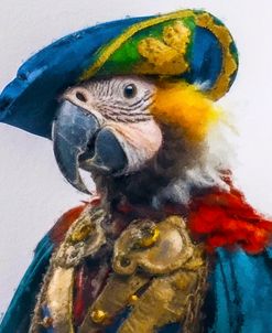 Captain Jack Parrot