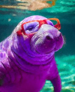 Manatee Glasses