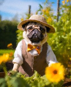 Pug Garden