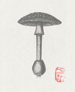 Mushroom3