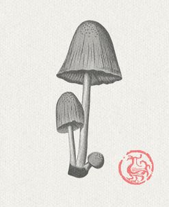 Mushroom2