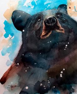 Black Bear