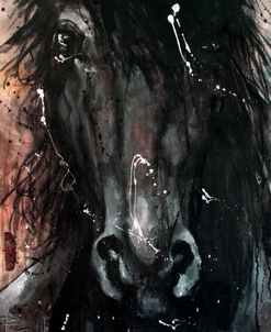 Black Stallion