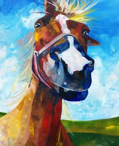 A Horse Of Course