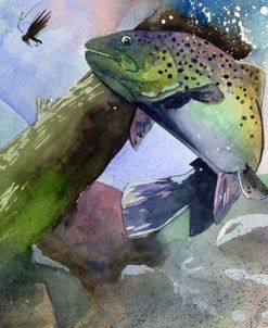 Trout-And-Fly