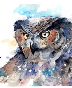 Great-Horned-Owl