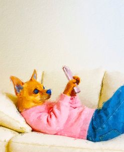 Chihuahua Game
