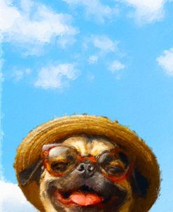 A Pug In The Sun