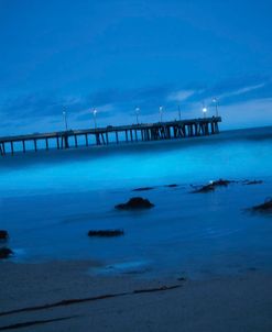Blue Hour Pier