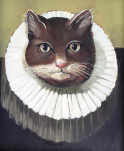 Cat With Elizabethan Collar