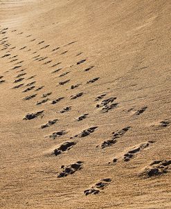 Crossing Paths