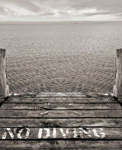 No Diving