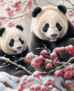 Christmas Pandas
