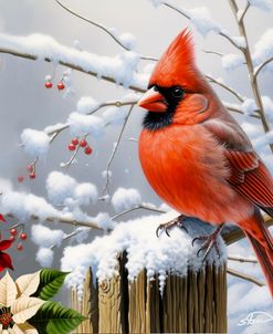 Winter Frost Cardinals